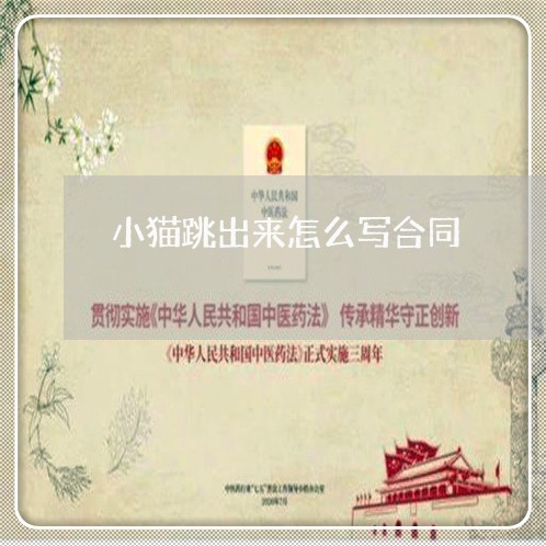 小猫跳出来怎么写合同/2023022763604