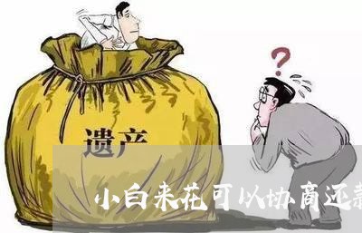 小白来花可以协商还款吗/2023071133048