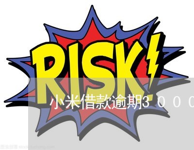 小米借款逾期3000 小米借款逾期3000