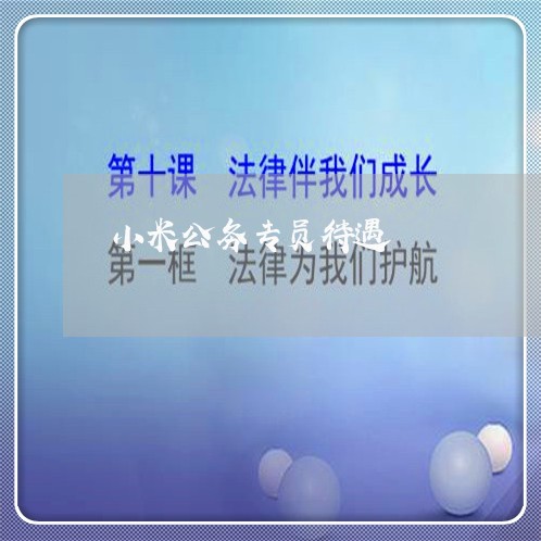 小米公务专员待遇