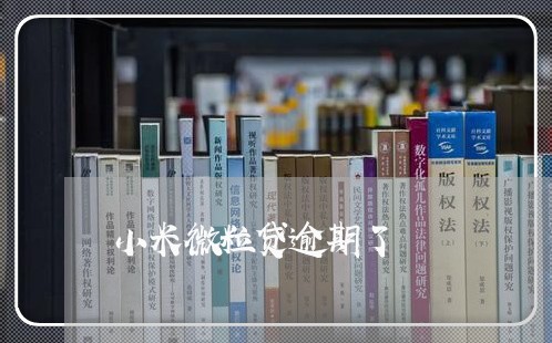 小米微粒贷逾期了 小米微粒贷逾期了