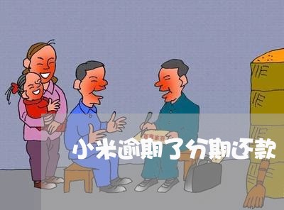 小米逾期了分期还款