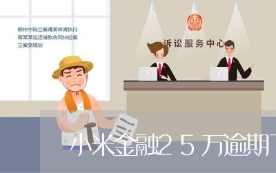 小米金融25万逾期了