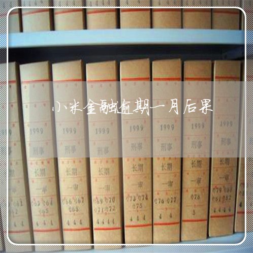 小米金融逾期一月后果