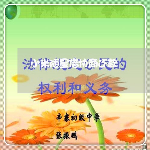 小米随星借协商还款/2023110794048