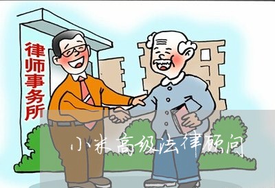 小米高级法律顾问/2023061795038