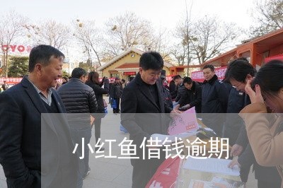 小红鱼借钱逾期 小红鱼借钱逾期