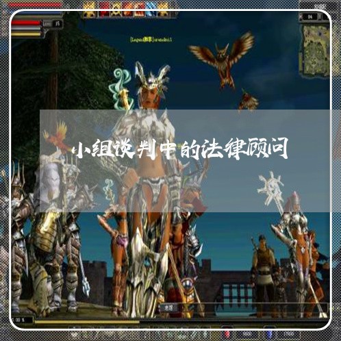 小组谈判中的法律顾问 小组谈判中的法律顾问