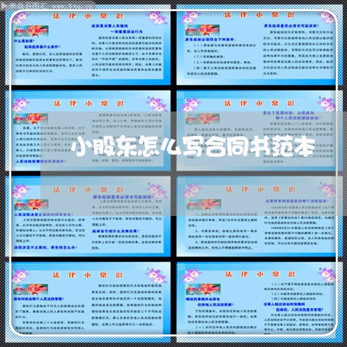 小股东怎么写合同书范本/2023041395838
