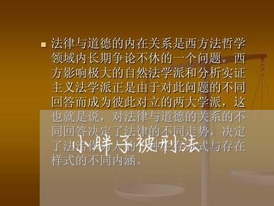 小胖子被刑法