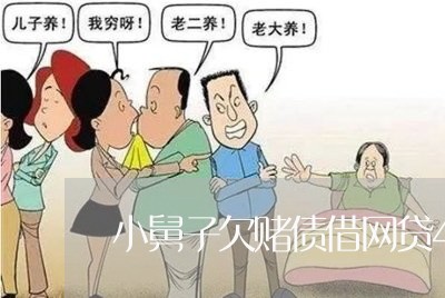 小舅子欠赌债借网贷40万