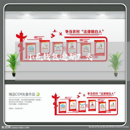小花钱包逾期7天 小花钱包逾期7天