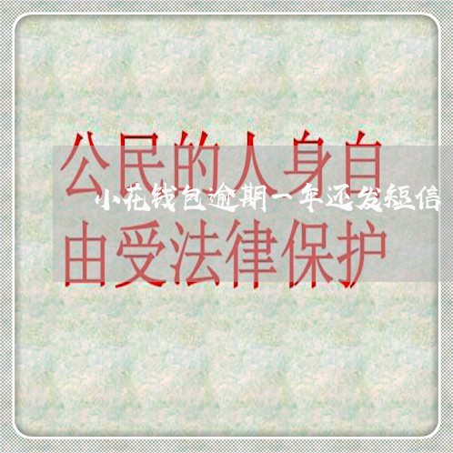 小花钱包逾期一年还发短信 小花钱包逾期一年还发短信