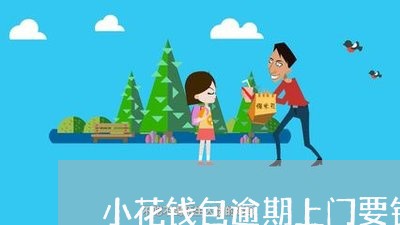 小花钱包逾期上门要钱吗/2023022681092