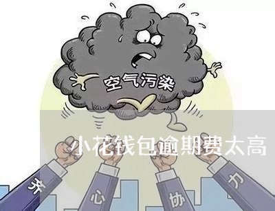 小花钱包逾期费太高 小花钱包逾期费太高