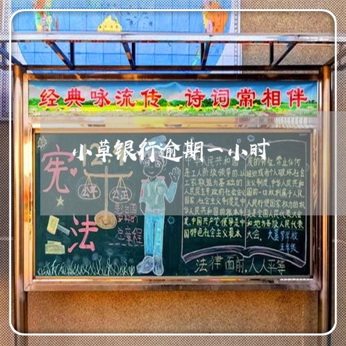 小草银行逾期一小时 小草银行逾期一小时