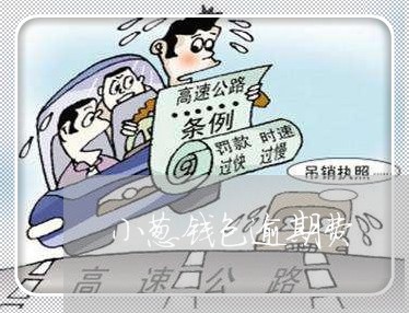 小葱钱包逾期费