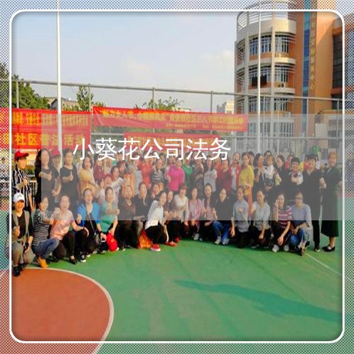 小葵花公司法务 小葵花公司法务