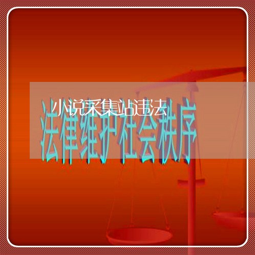小说采集站违法