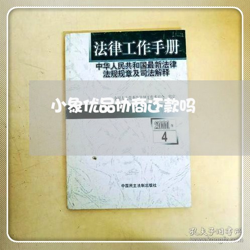 小象优品协商还款吗/2023070962683