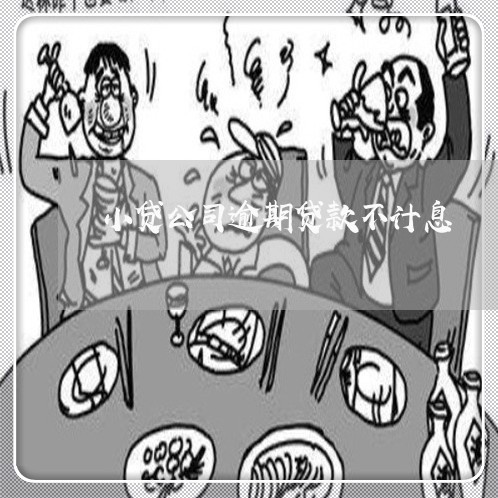 小贷公司逾期贷款不计息