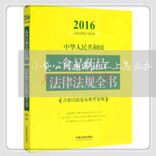小贷公司逾期还不上怎么办 小贷公司逾期还不上怎么办
