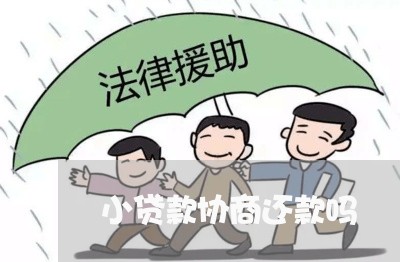 小贷款协商还款吗/2023070827141