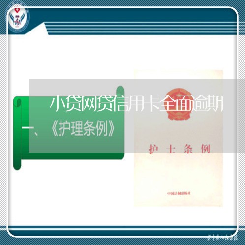 小贷网贷信用卡全面逾期 小贷网贷信用卡全面逾期