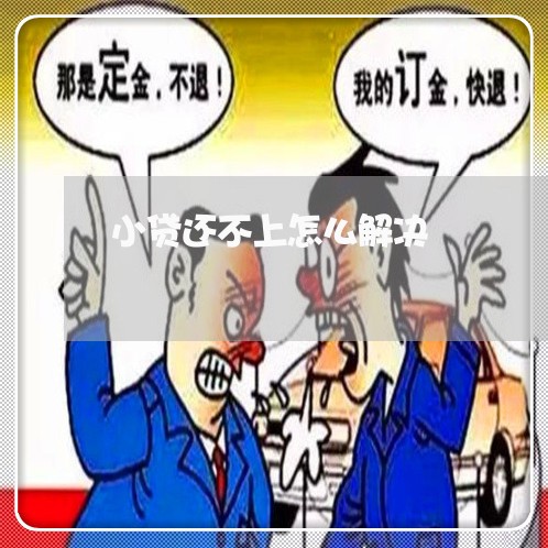 小贷还不上怎么解决/2023020412163