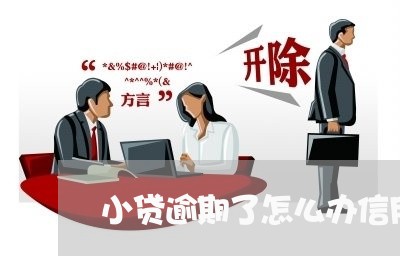 小贷逾期了怎么办信用卡/2023042222693