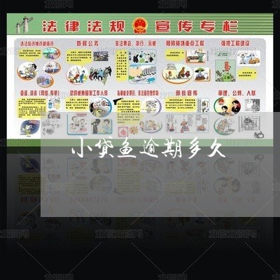小贷鱼逾期多久 小贷鱼逾期多久