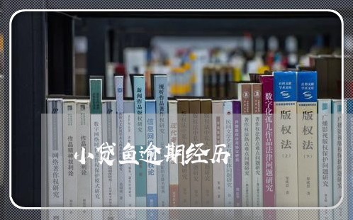 小贷鱼逾期经历 小贷鱼逾期经历