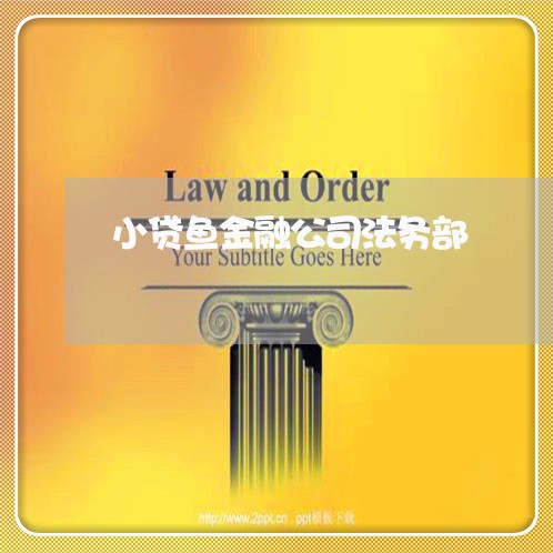 小贷鱼金融公司法务部 小贷鱼金融公司法务部