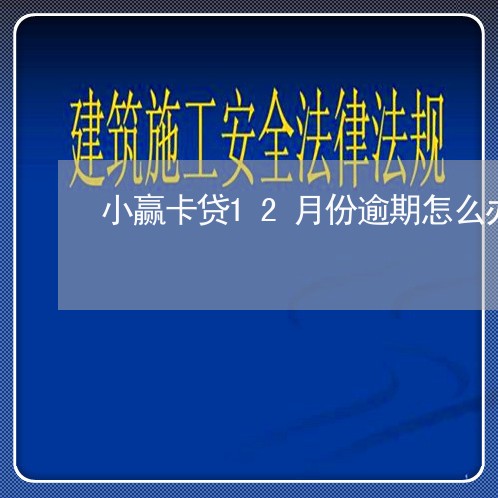 小赢卡贷12月份逾期怎么办