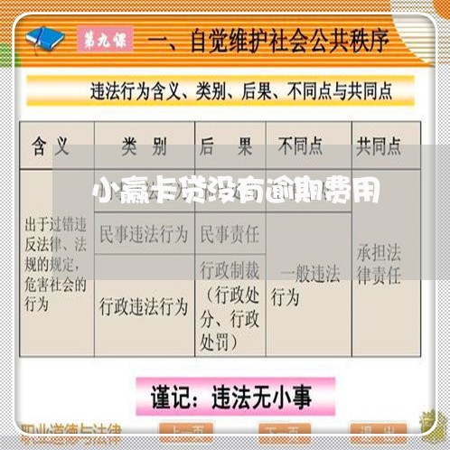 小赢卡贷没有逾期费用/2023112668361