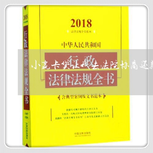 小赢卡贷让我去法院协商还款/2023082562624