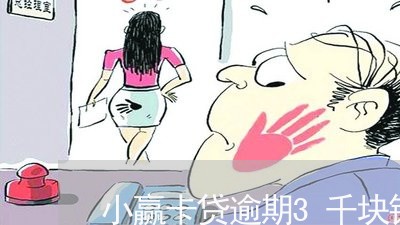 小赢卡贷逾期3千块钱/2023031704148