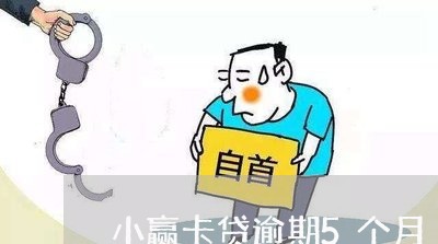 小赢卡贷逾期5个月 小赢卡贷逾期5个月