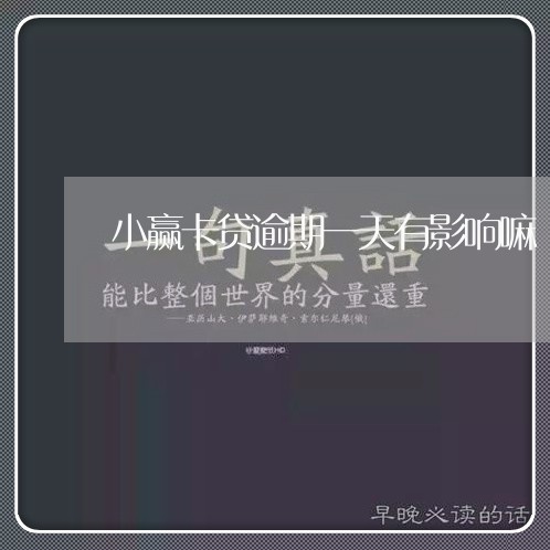 小赢卡贷逾期一天有影响嘛/2023060713250