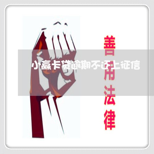 小赢卡贷逾期不还上征信/2023061884019