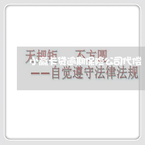 小赢卡贷逾期保险公司代偿 小赢卡贷逾期保险公司代偿