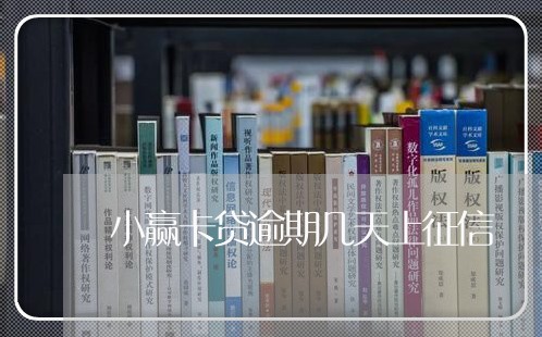 小赢卡贷逾期几天上征信/2023061877178