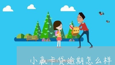 小赢卡贷逾期怎么样/2023020434939