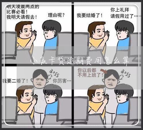 小赢卡贷逾期费用怎么算/2023061827048