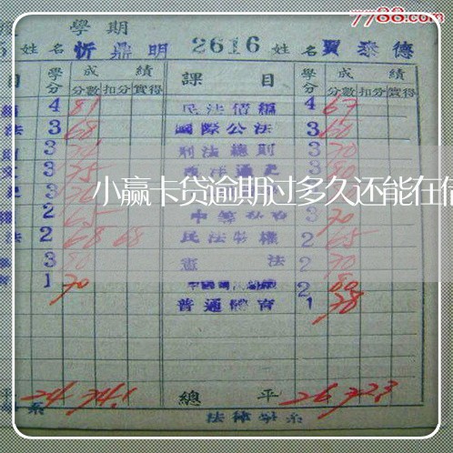 小赢卡贷逾期过多久还能在借