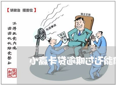 小赢卡贷逾期过还能借吗/2023061867593