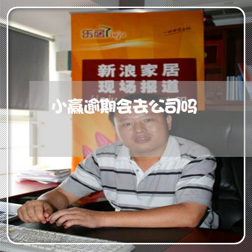 小赢逾期会去公司吗