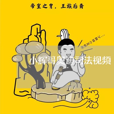 小辉哥奥迪司法视频 小辉哥奥迪司法视频