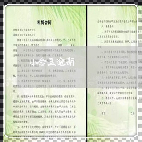 小金豆逾期