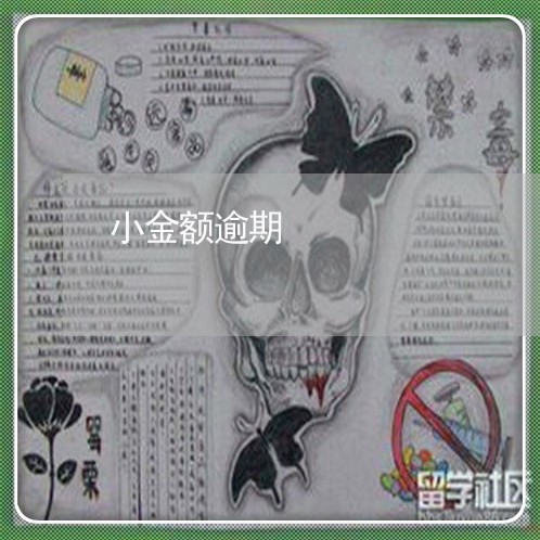 小金额逾期